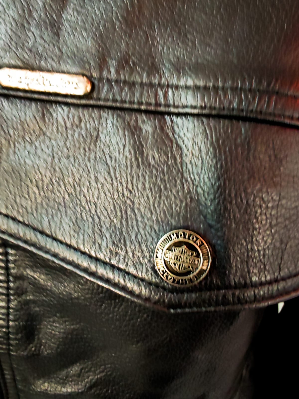 Harley Davidson leather jacket