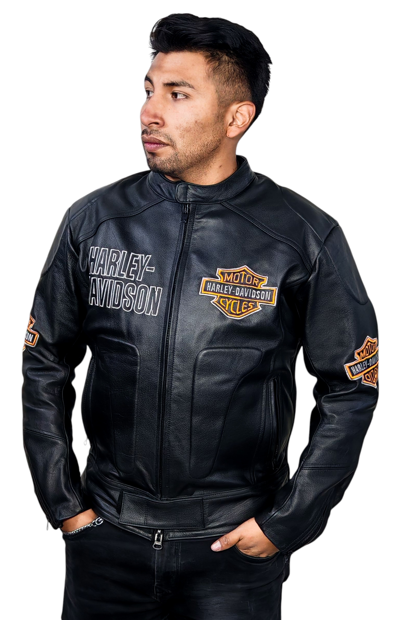 Modelo Harley Davidson